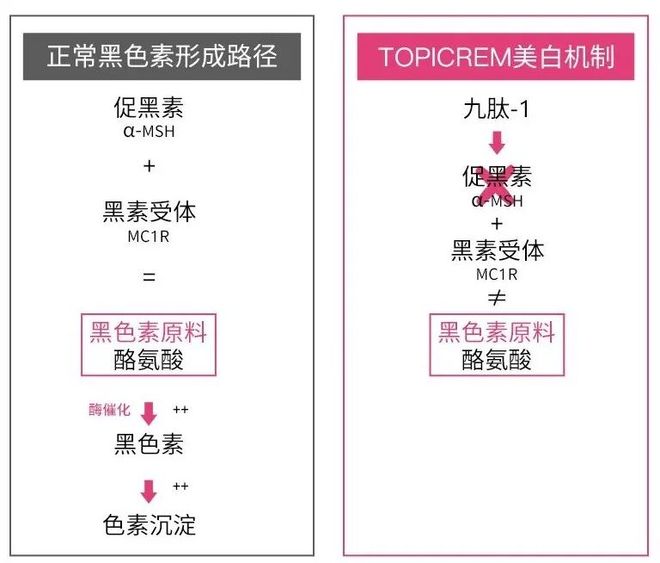 在雪场被晒得很曼妙AG真人不知道我(图9) 在雪场被晒得很曼妙AG真人不知道我(图9)