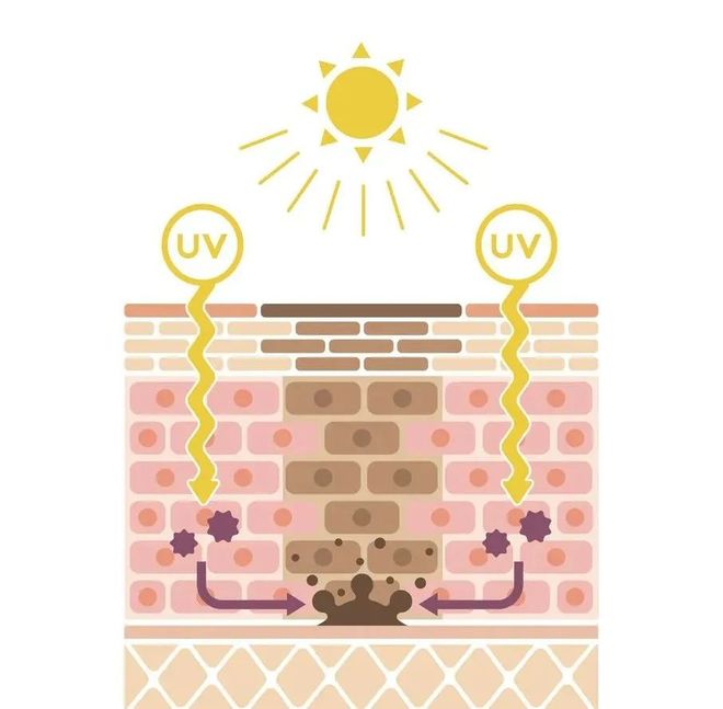 在雪场被晒得很曼妙AG真人不知道我(图12) 在雪场被晒得很曼妙AG真人不知道我(图12)