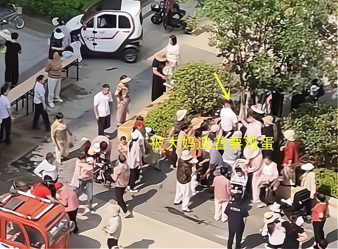 包粽子大妈连盆都端走了还围堵物业要鸡蛋AG真人澳门百家家乐山东：小区端午免费(图1)