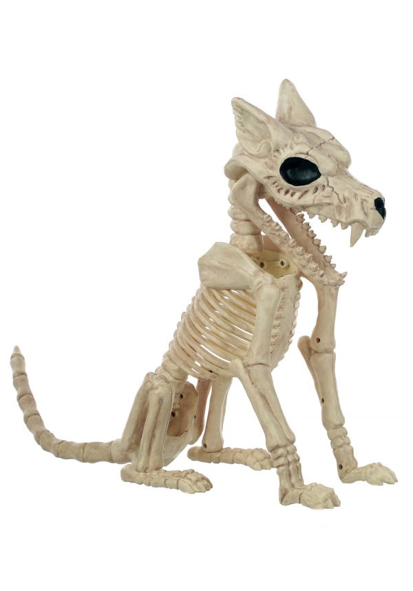 17.5" Wolf Skeleton Prop