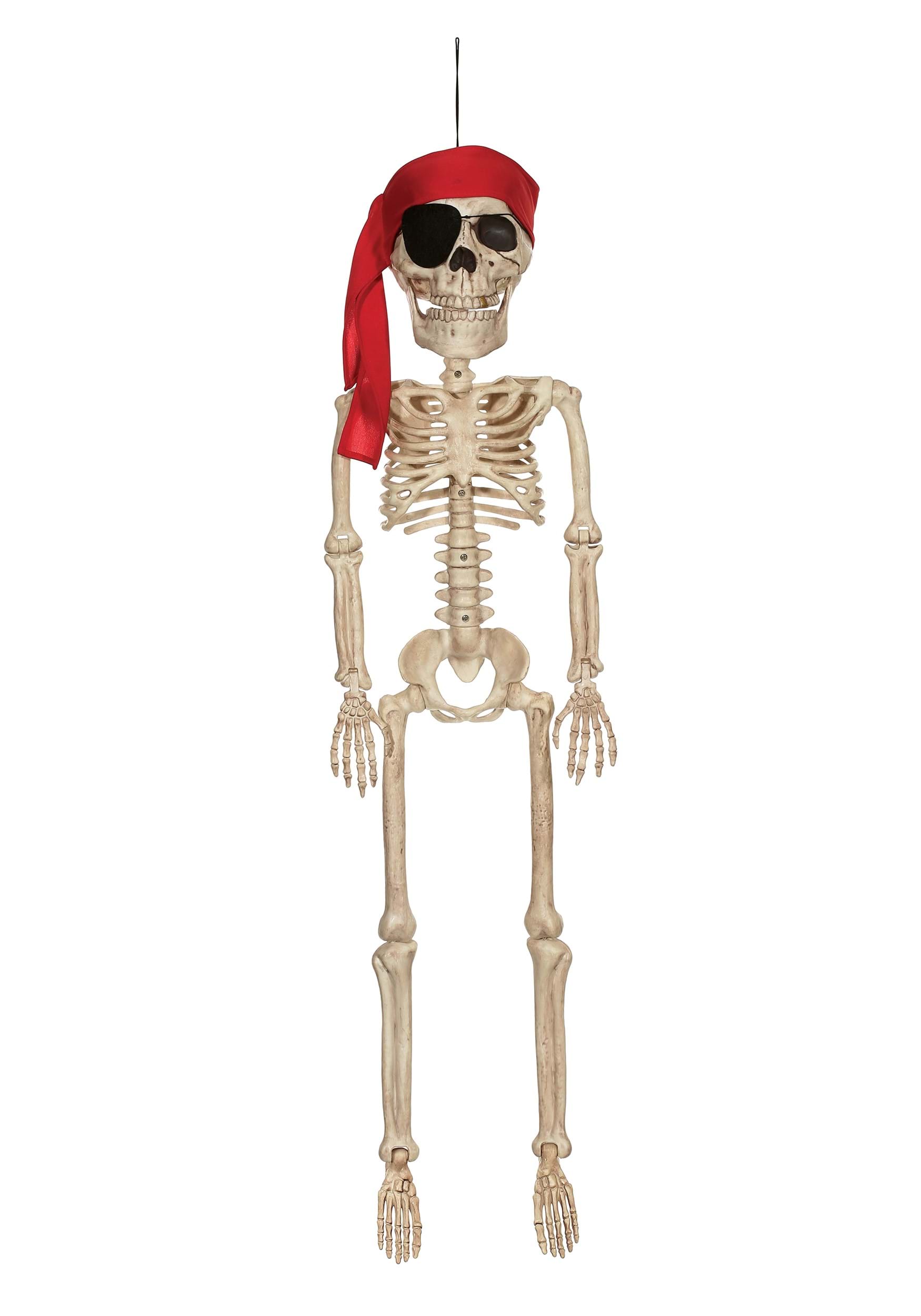 Decorative 39″ Pirate Skeleton Jr.
