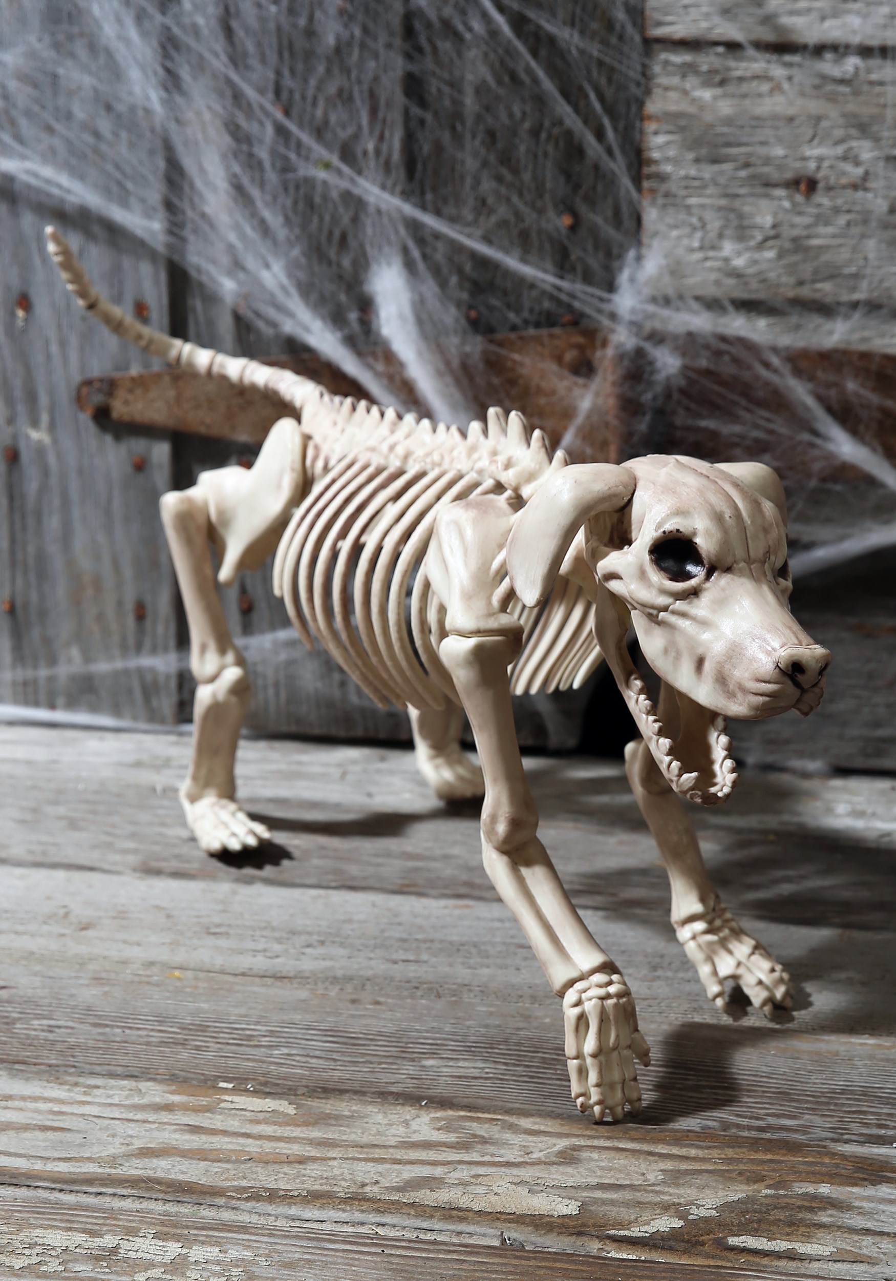 Beagle Bonez 20 Inch Skeleton Dog Halloween Decoration