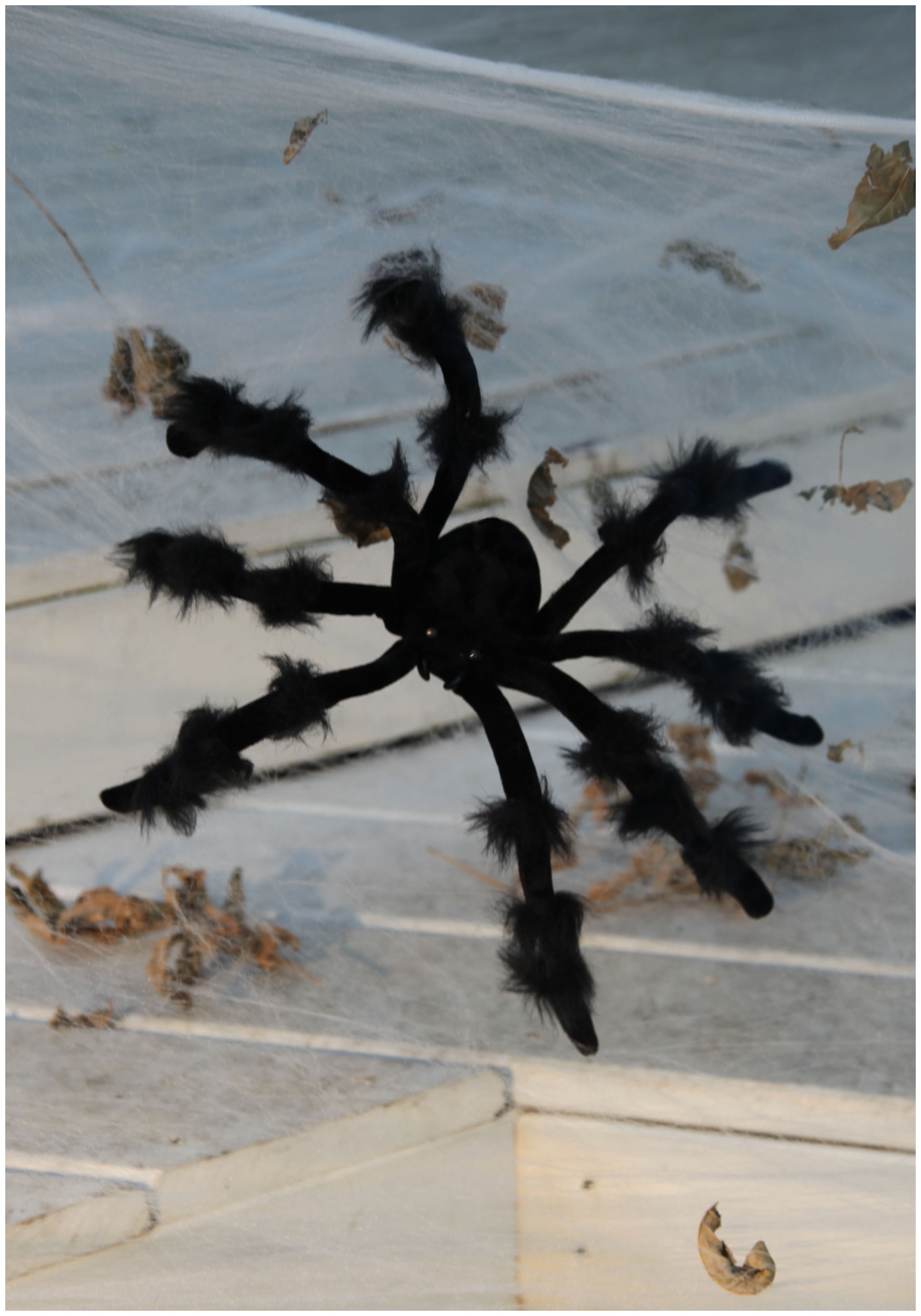 Black 20″ Poseable Spider Prop