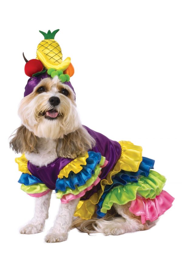 Pet Brazilian Bombshell Costume