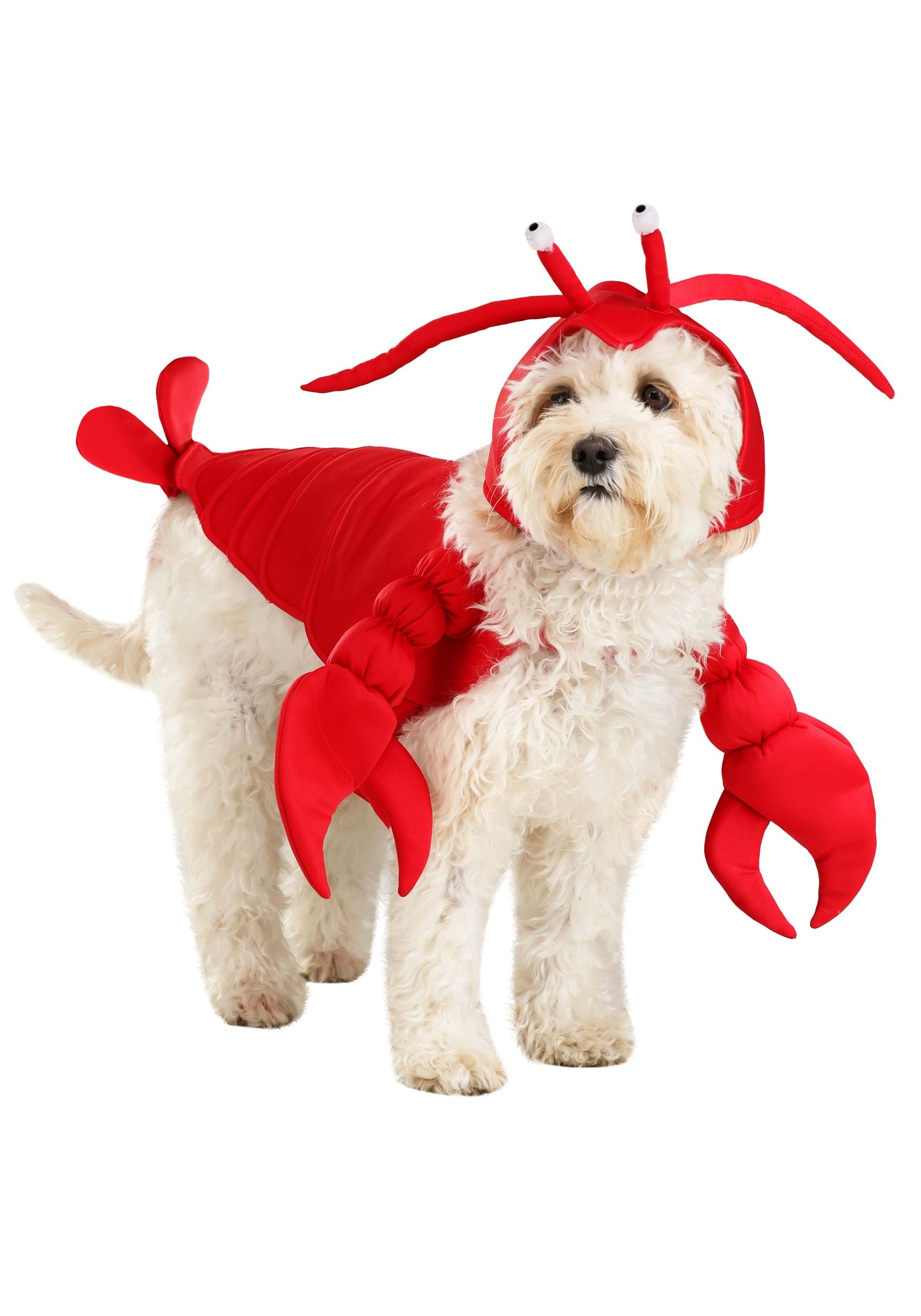 Dog Lobster Costume