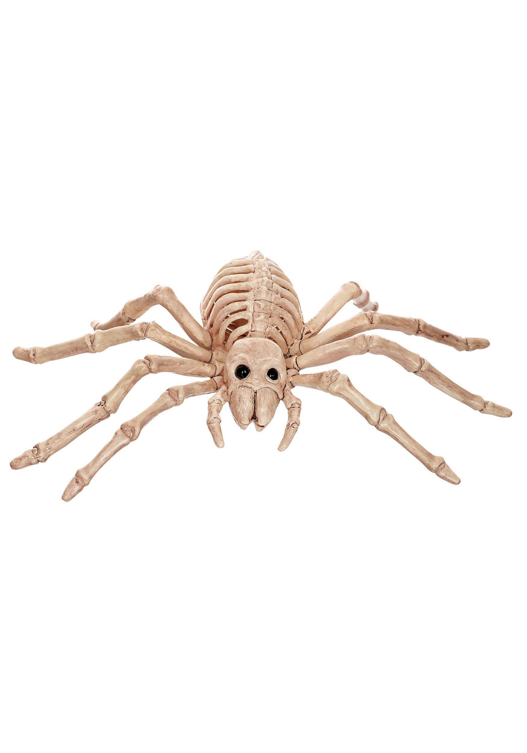 9" Mini Skeleton Spider Prop Halloween Decoration